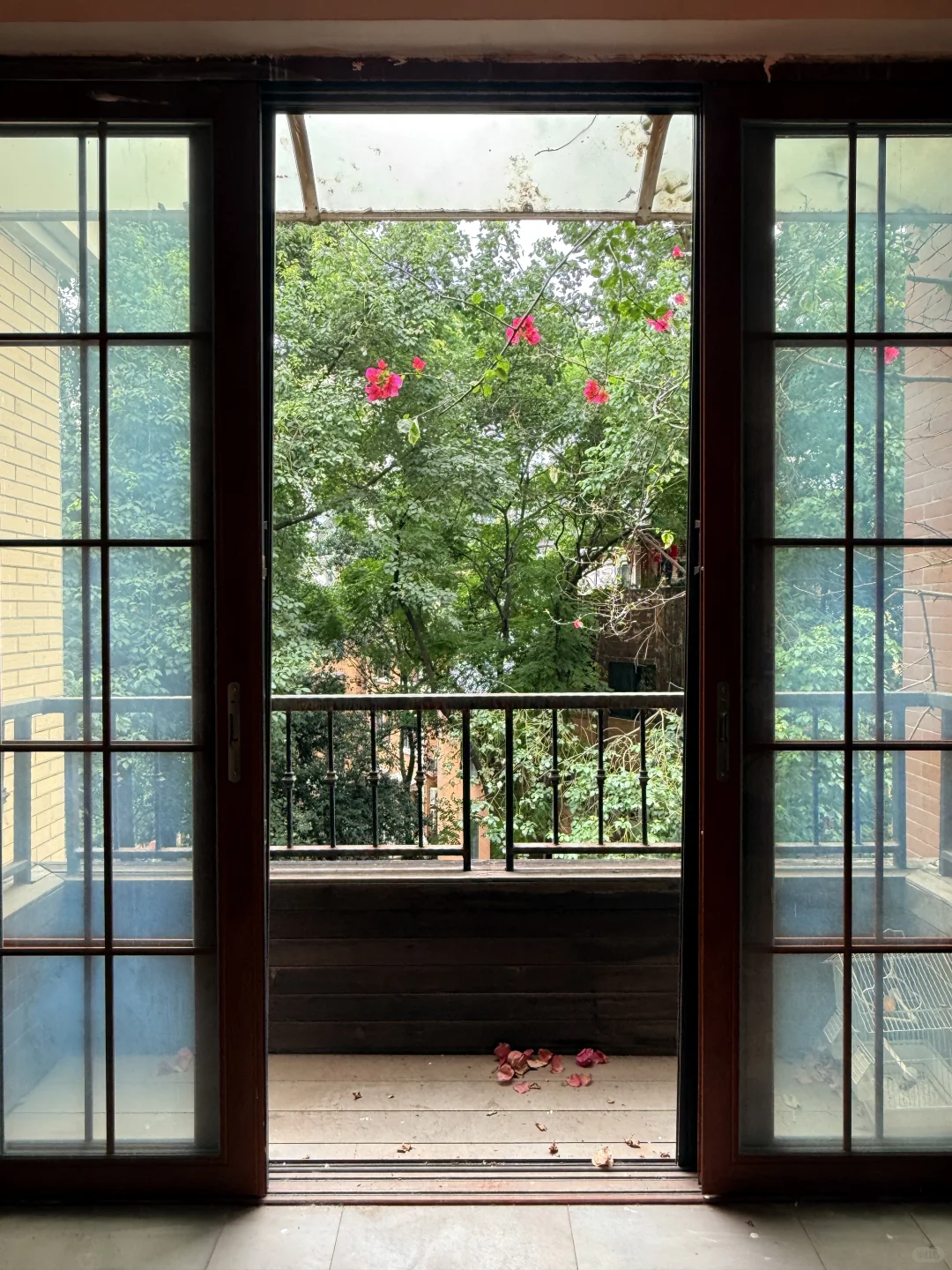 这套顶跃老洋房🏡实地看真的有点出人意料