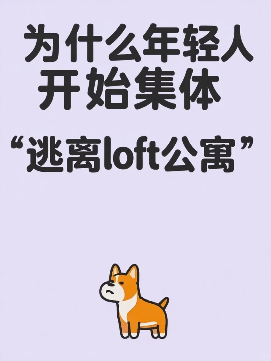逃离Loft公寓 血泪避雷贴😅