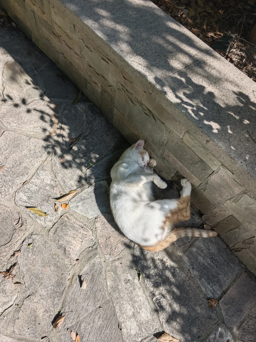 上海720w拿下92平小家🏠