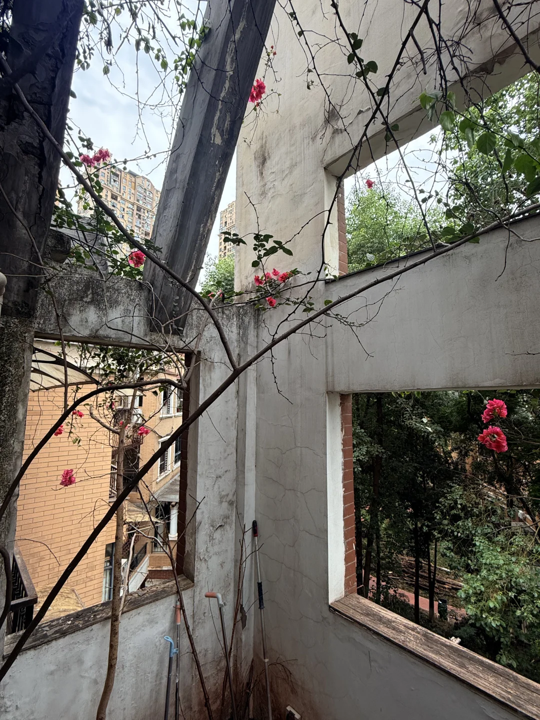这套顶跃老洋房🏡实地看真的有点出人意料