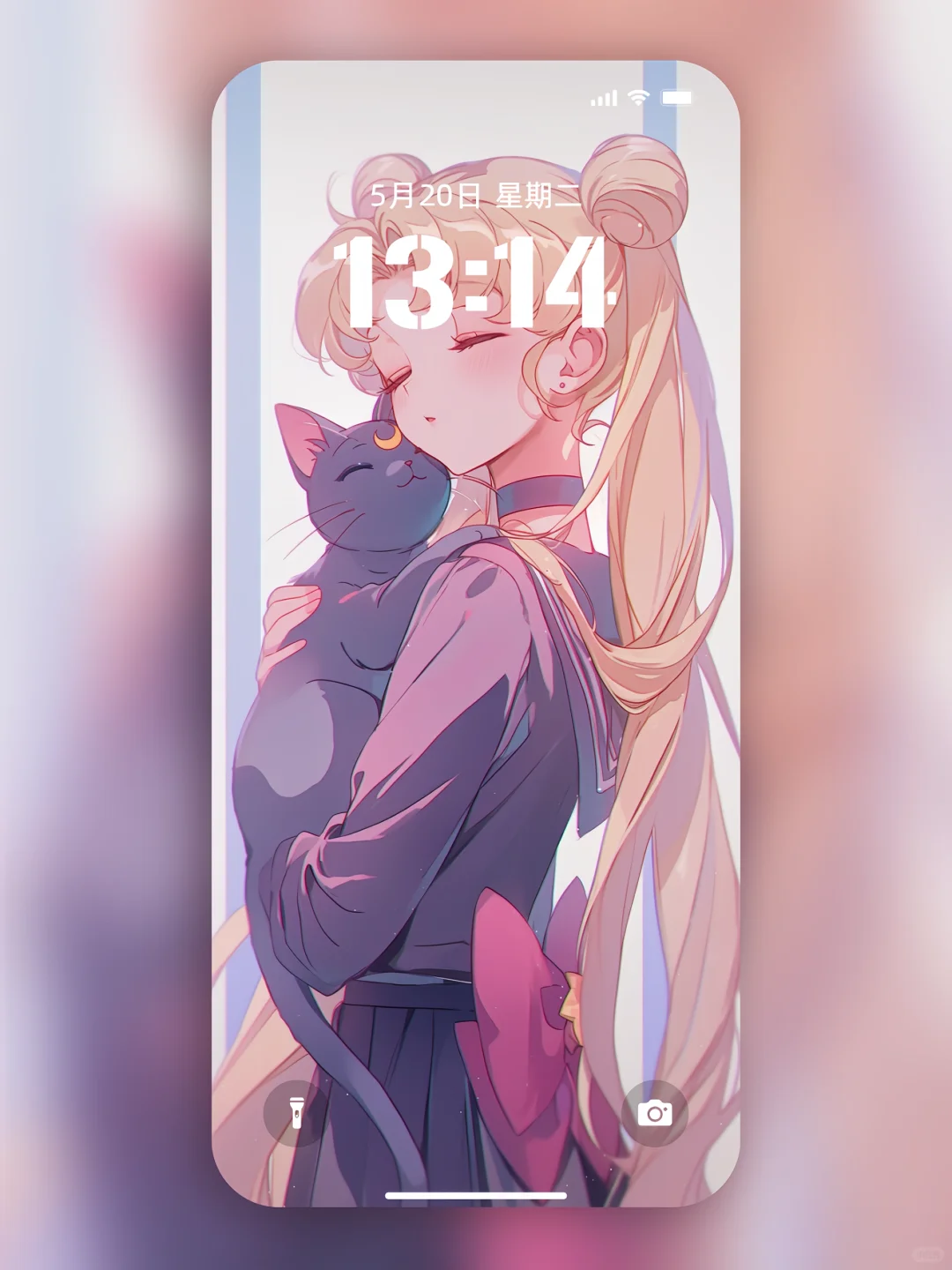 紫色魅惑💜美少女与猫