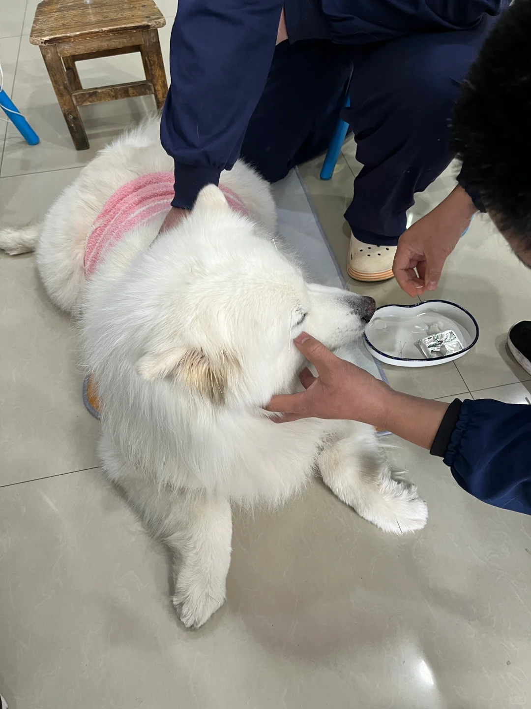 面部针灸