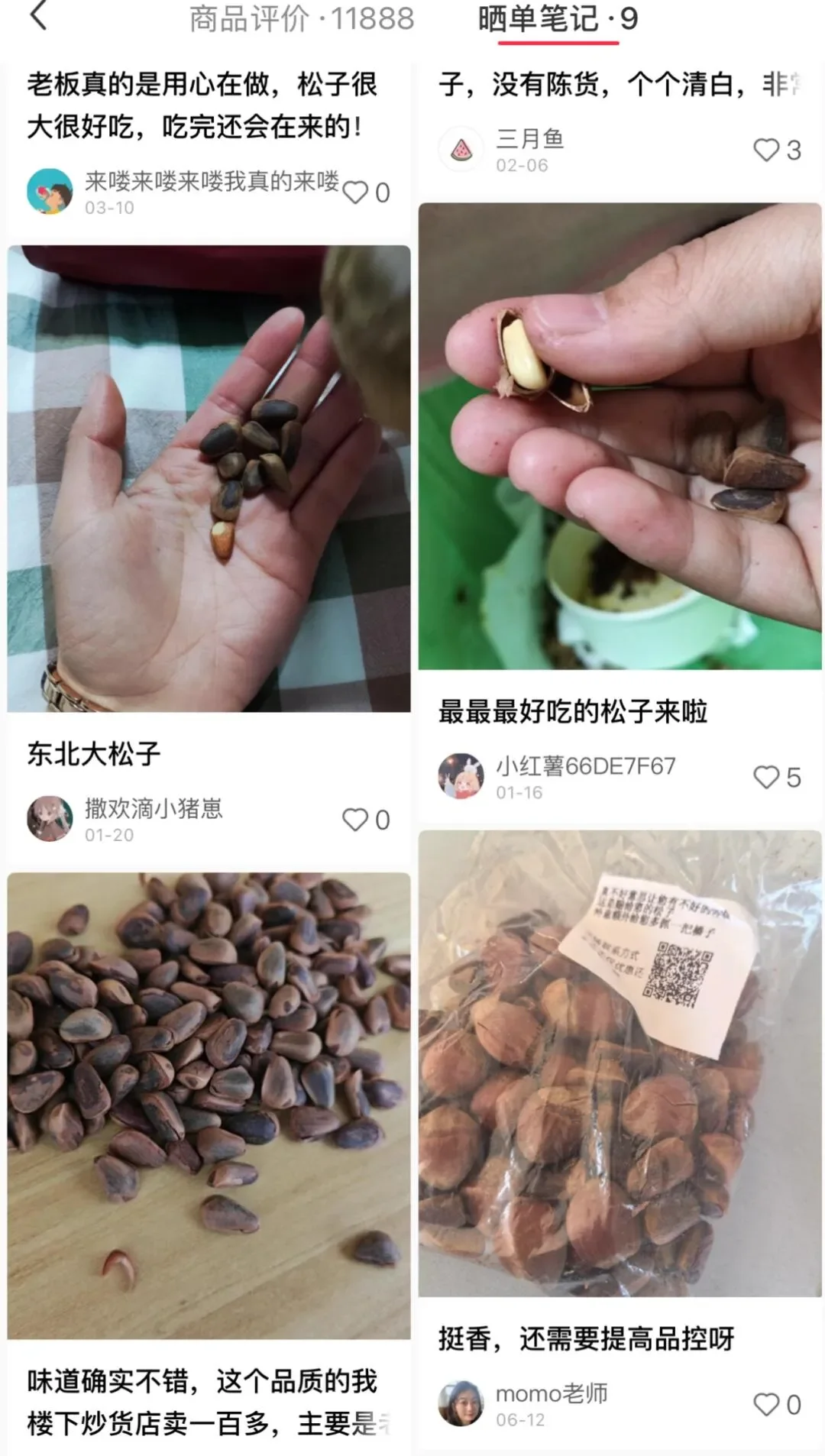 还有人求购松子❓是我低调了
