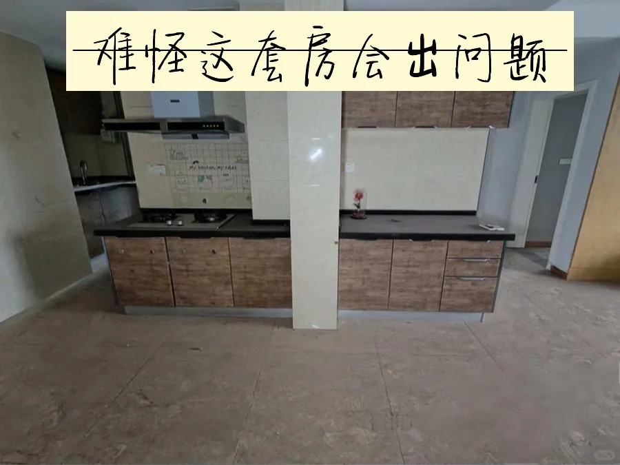 难怪这套法拍房会岀问题