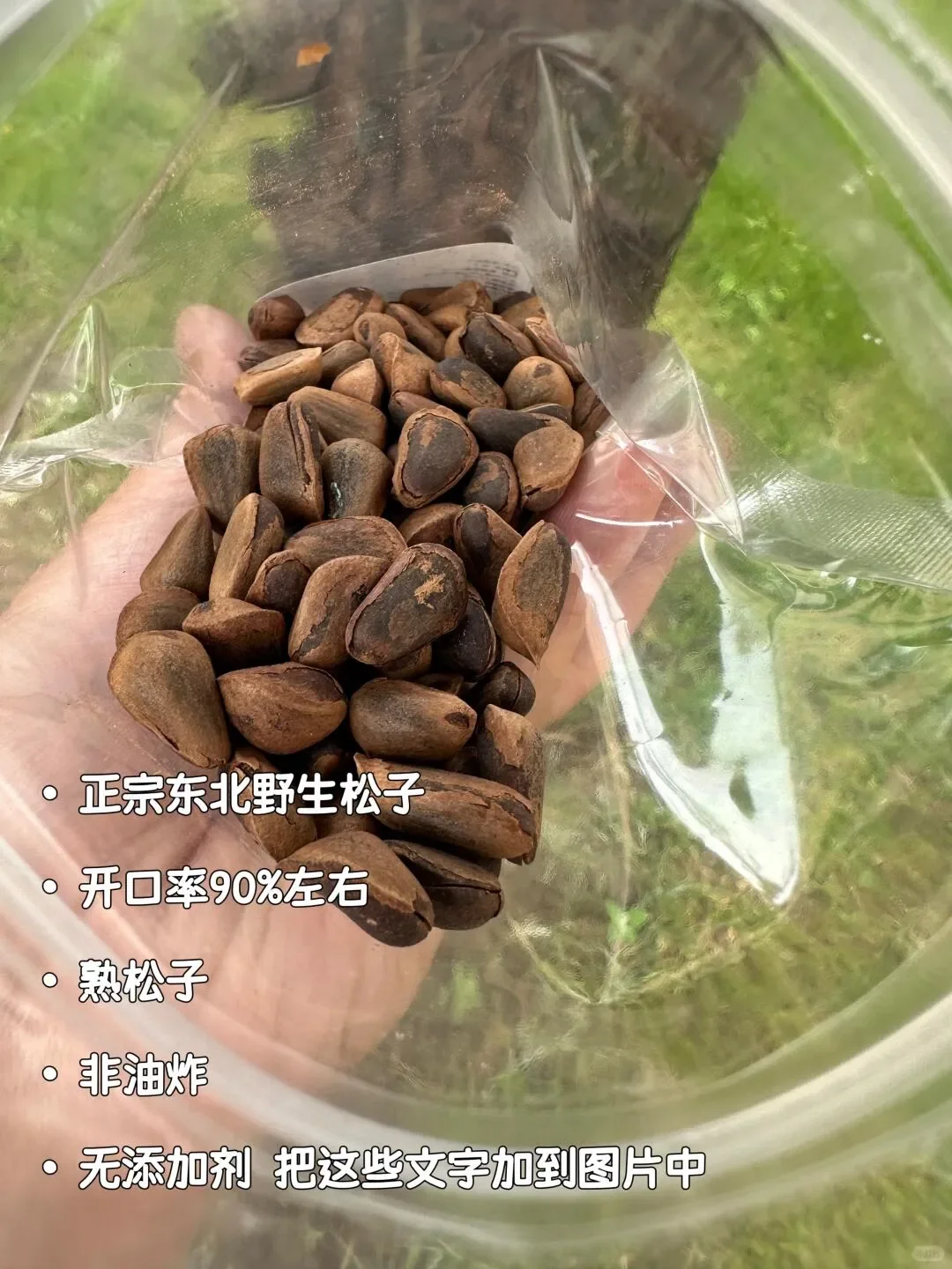 还有人求购松子❓是我低调了