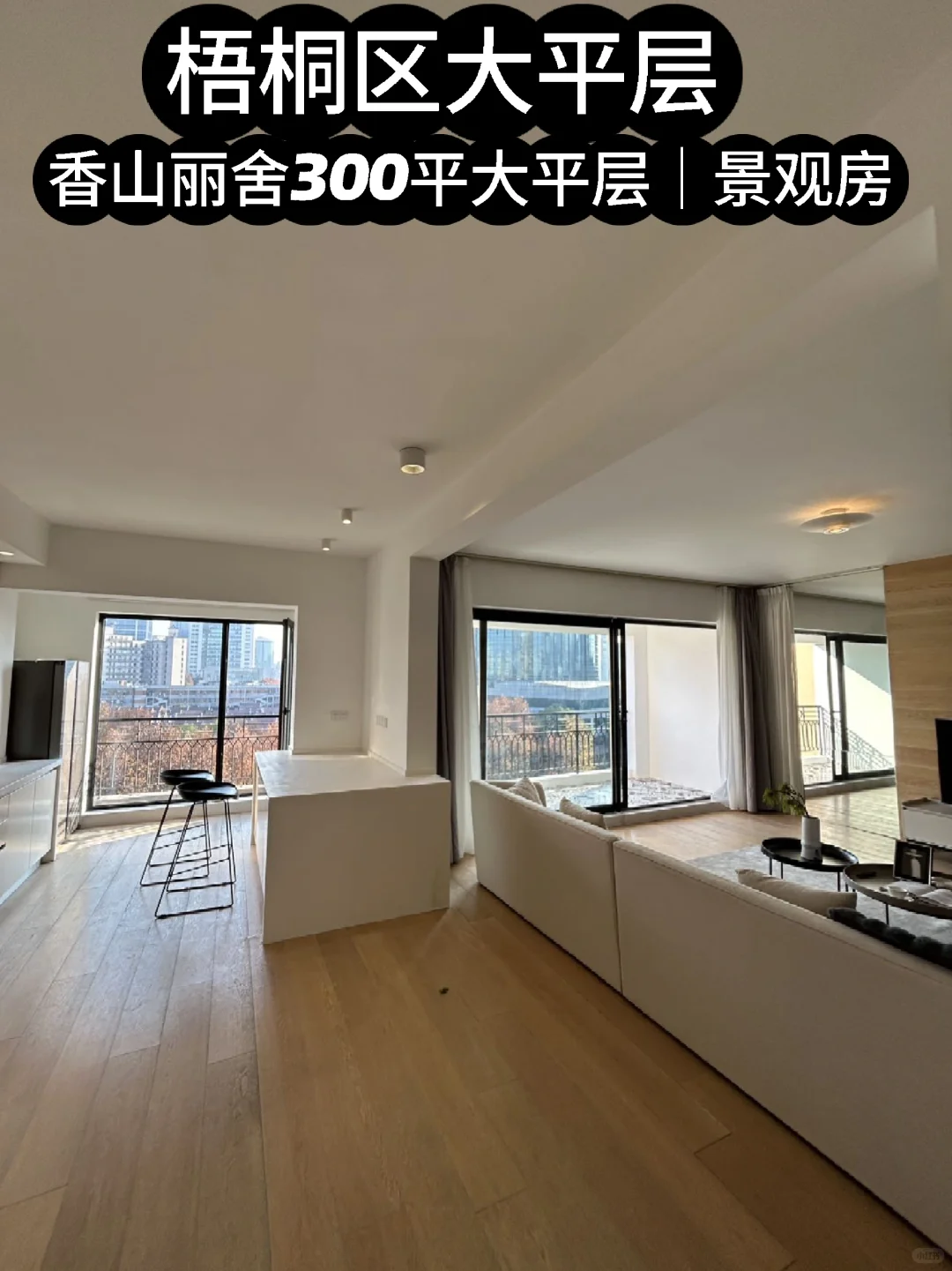 上海梧桐区豪宅｜预算4000-4200万买房