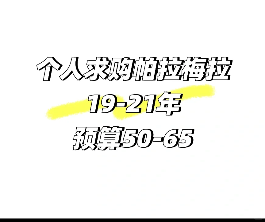 求购19-22帕拉梅拉