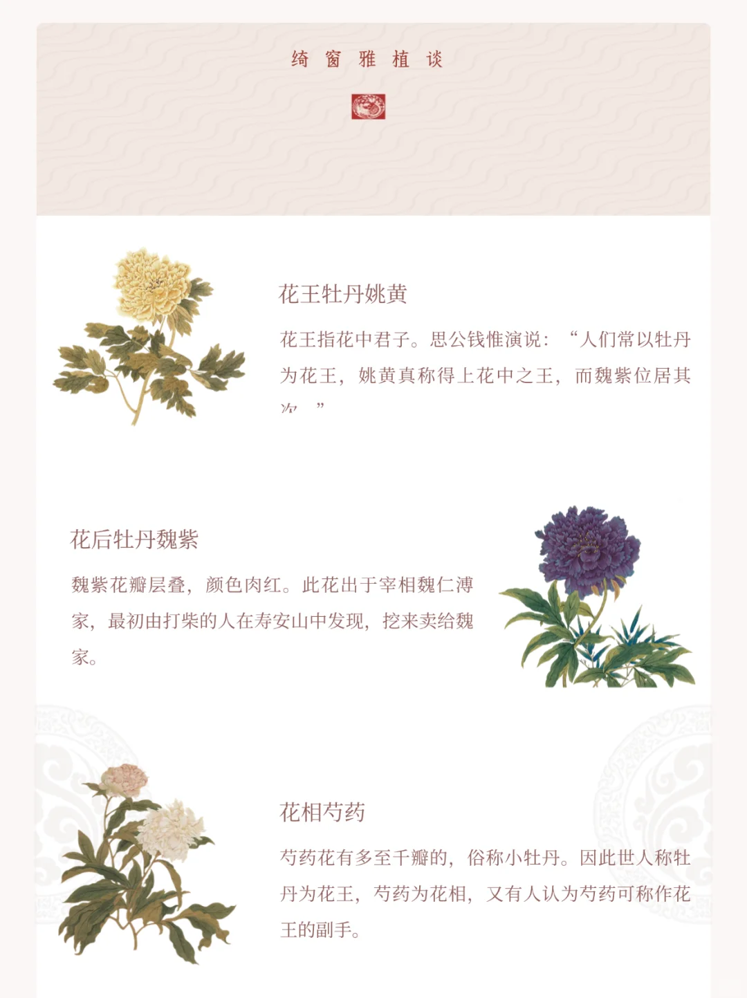 以花喻人｜各种被老祖宗比作人物的花