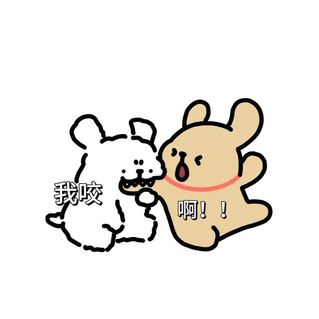 诱人的小鸡毛，小白最爱吃了