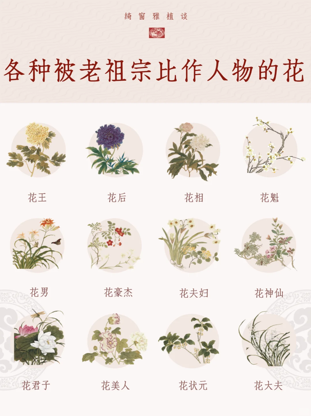 以花喻人｜各种被老祖宗比作人物的花