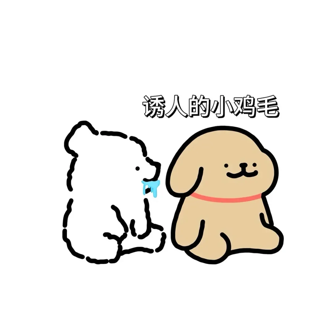 诱人的小鸡毛，小白最爱吃了