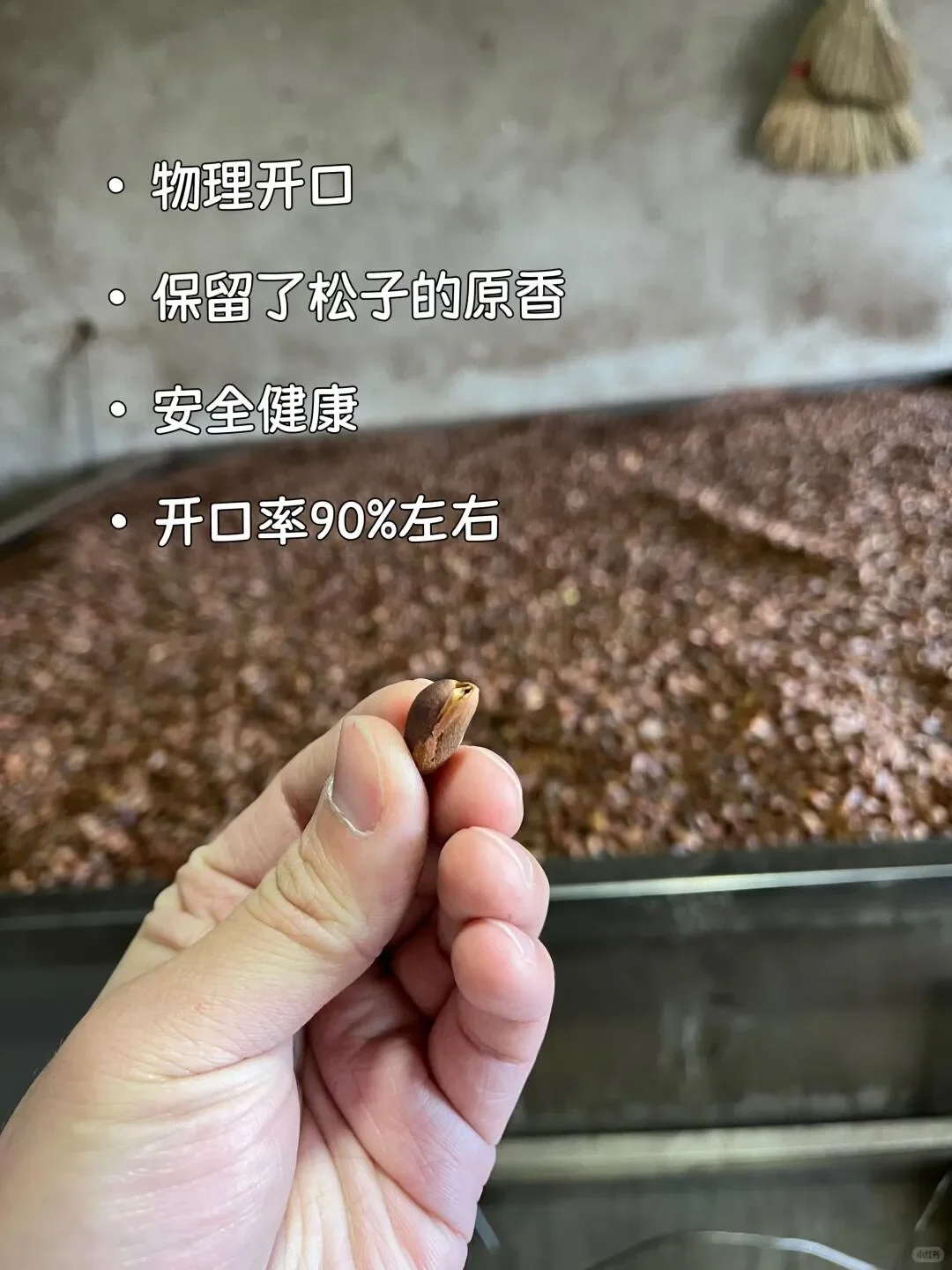 还有人求购松子❓是我低调了