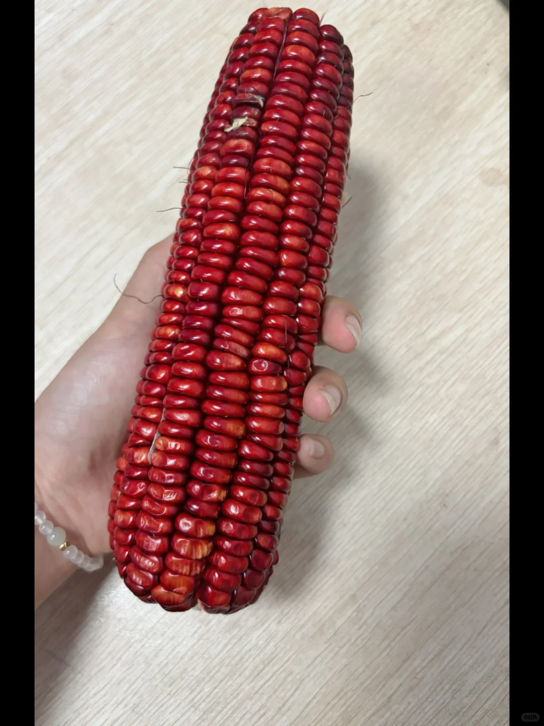 哇塞第一次见这种颜色的玉米