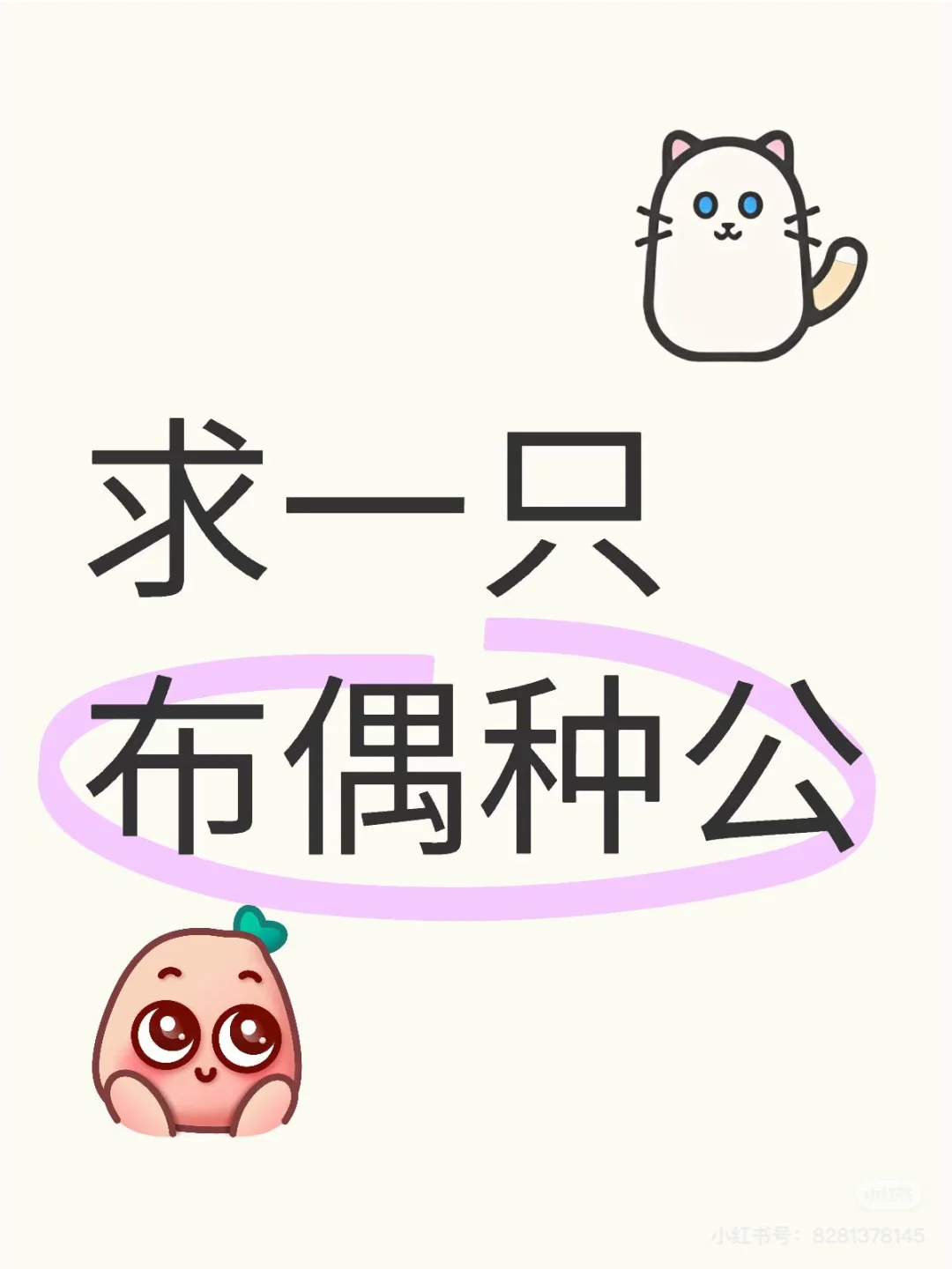 求购一只布偶弟弟 品相要好点的