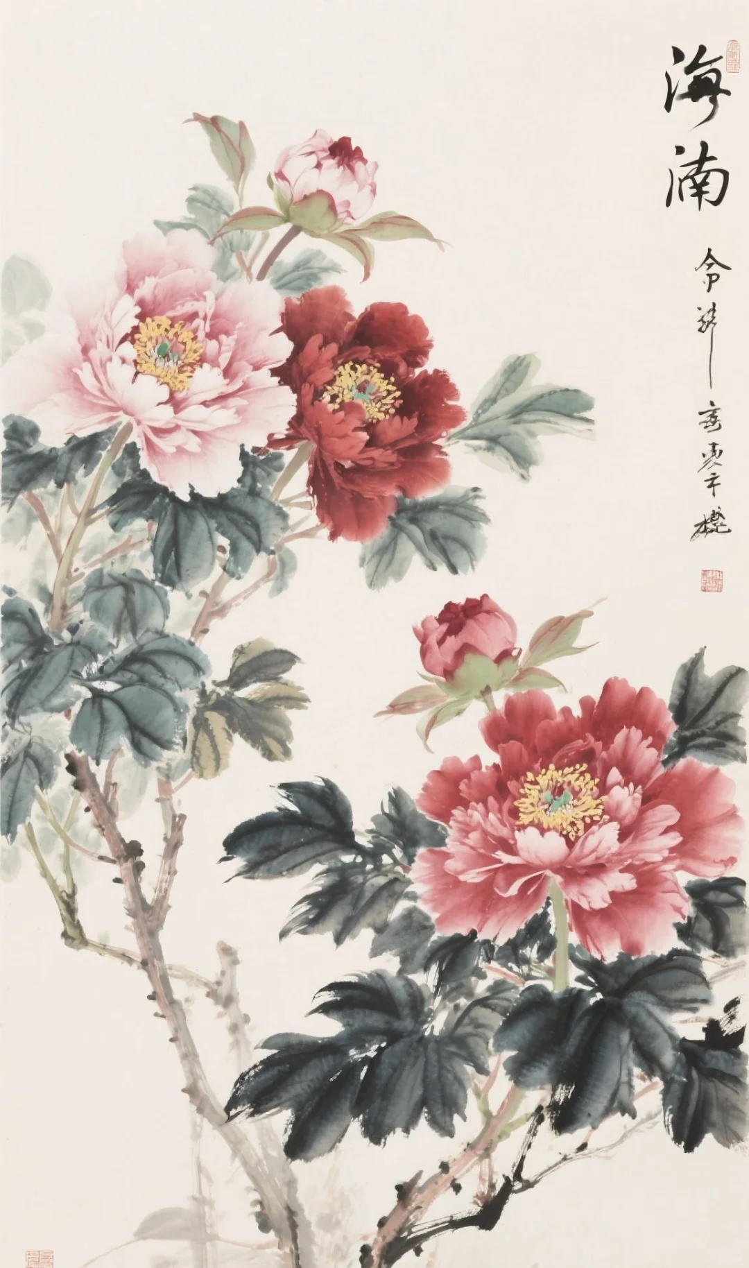 🌺国色天香｜被这牡丹画美到失语