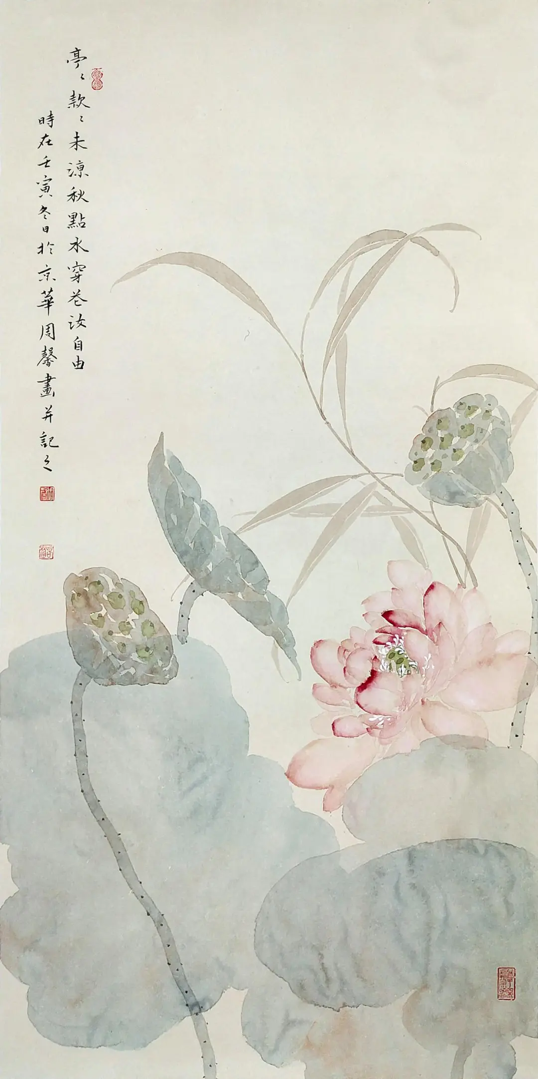 画家周馨没骨画，淡雅朦胧！
