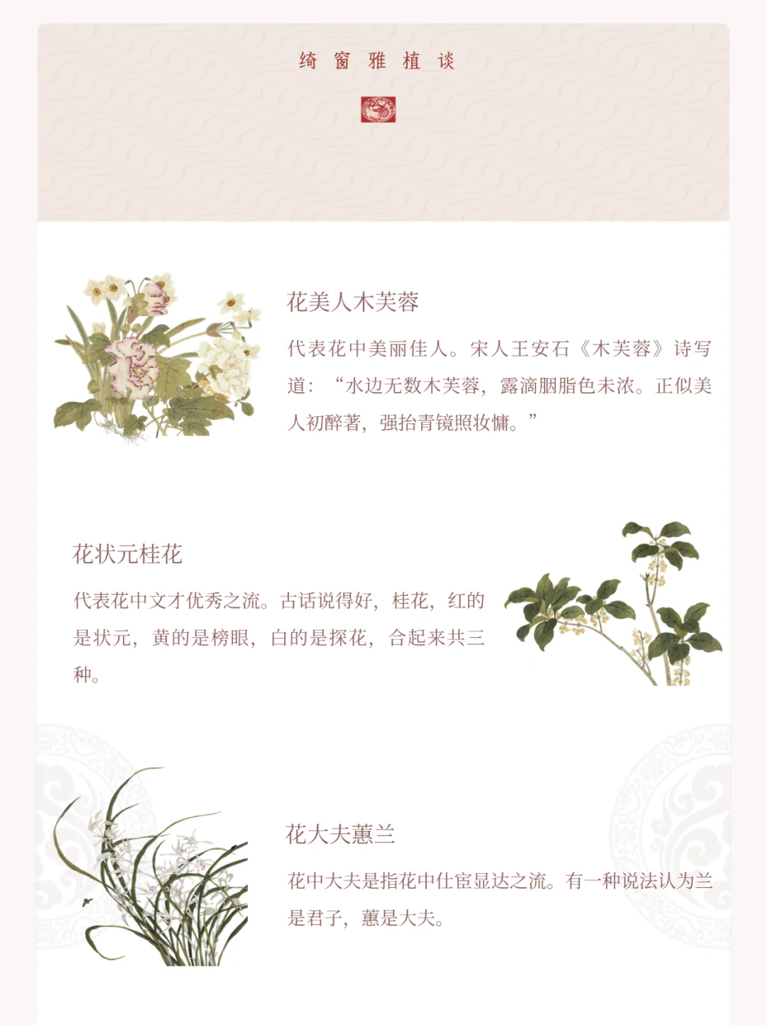 以花喻人｜各种被老祖宗比作人物的花