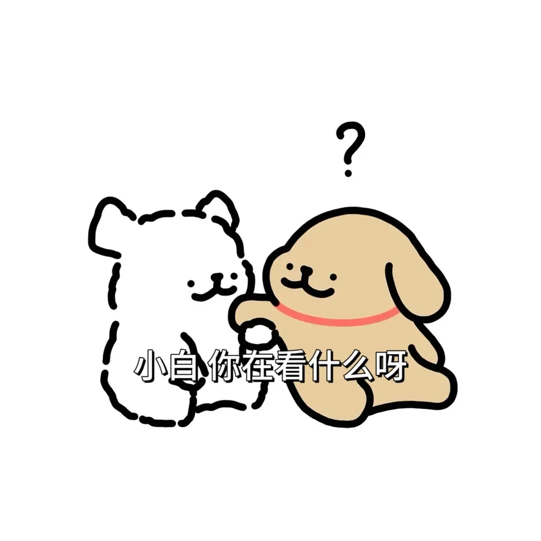 诱人的小鸡毛，小白最爱吃了