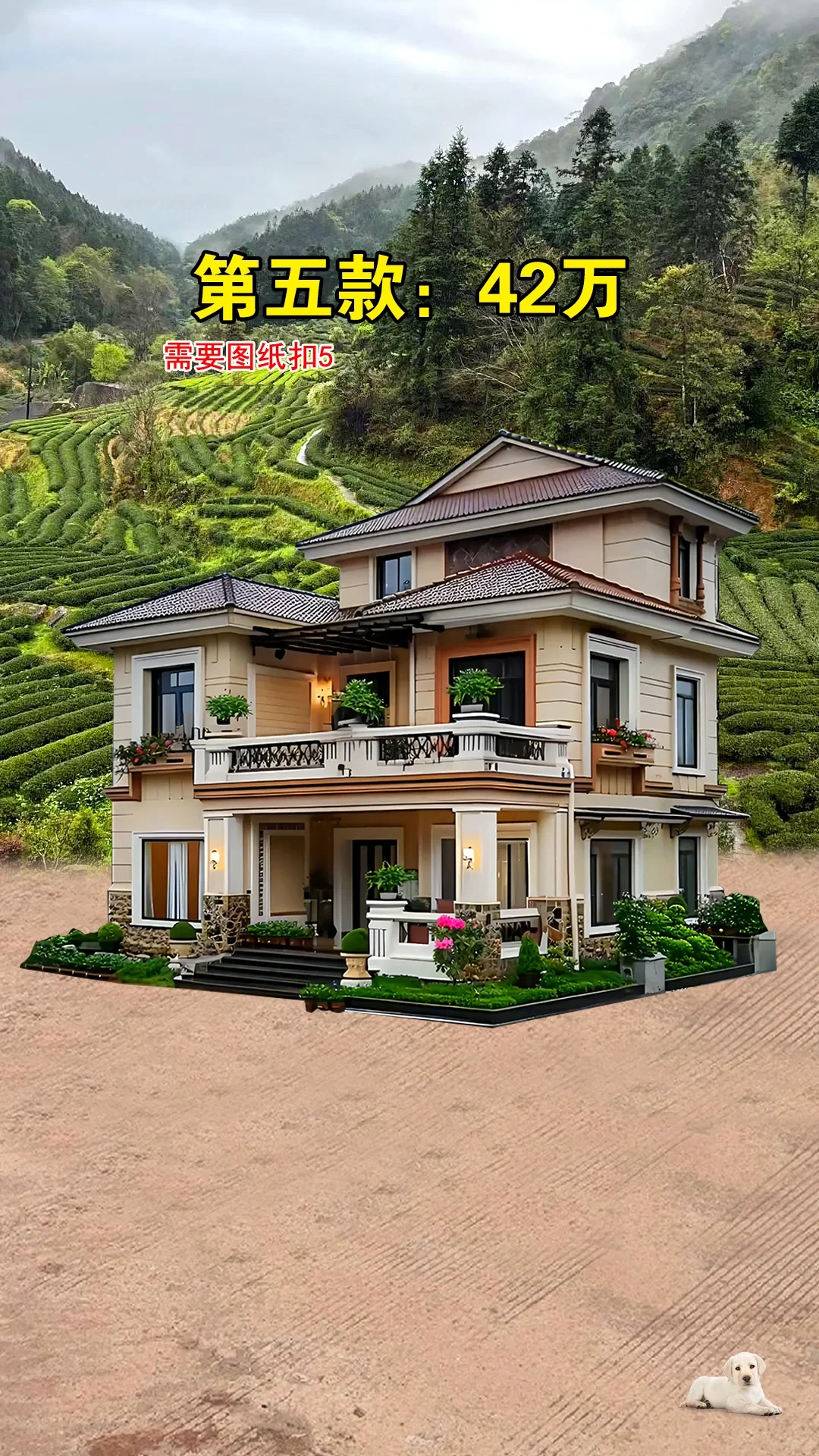 爆款户型推荐，建房子可以参考！