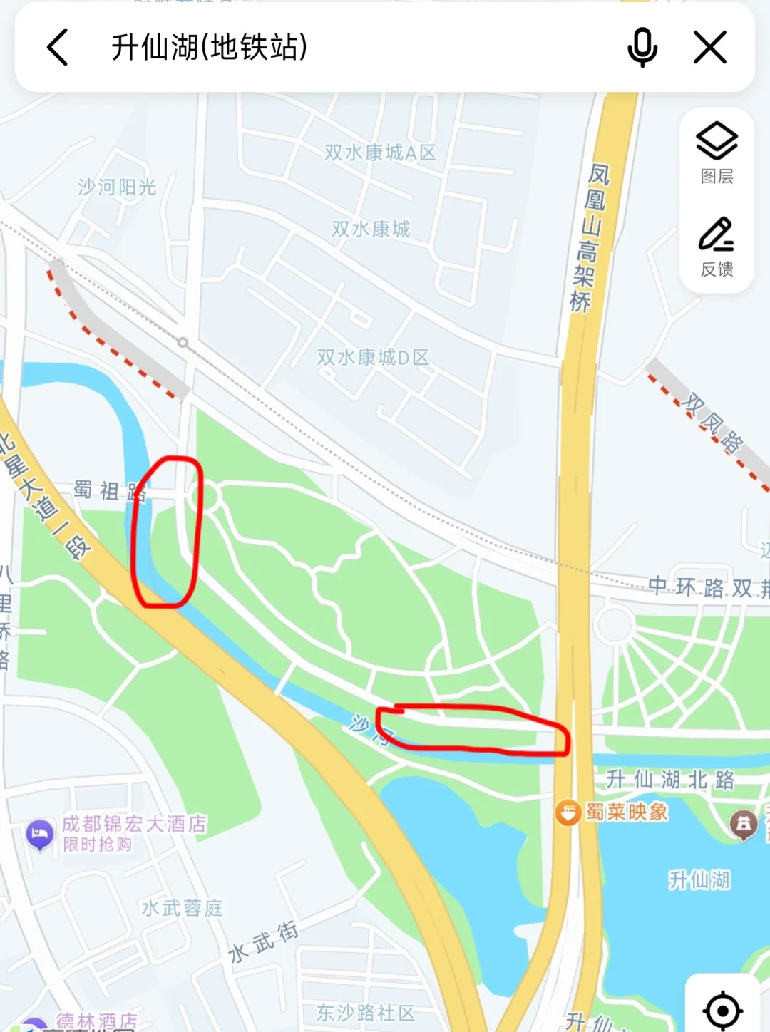 暗夜里的彼岸花是妖艳杀手🌺丨附拍摄技巧