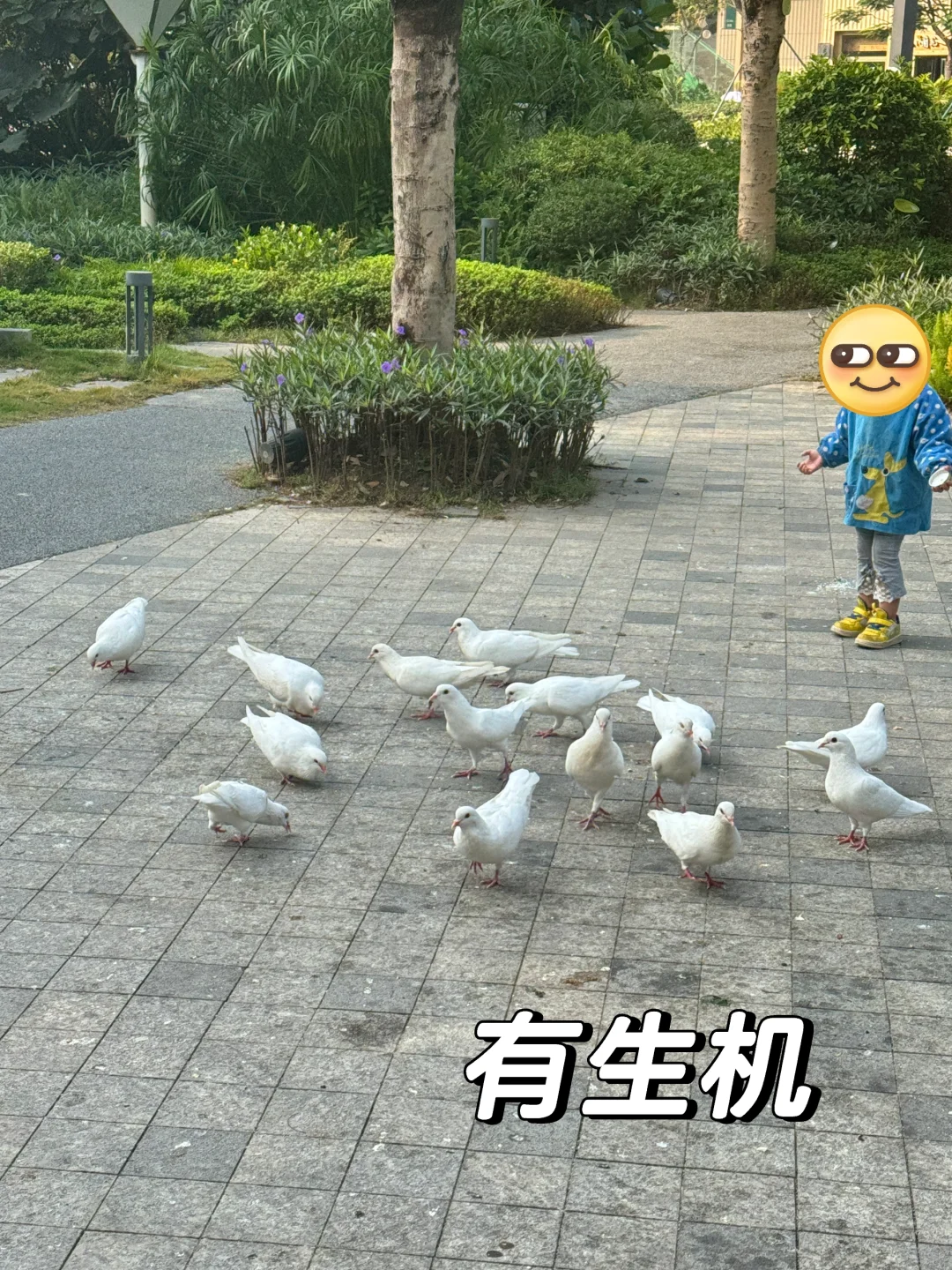 广州黄埔新房，万科黄埔新城7月搞事情？