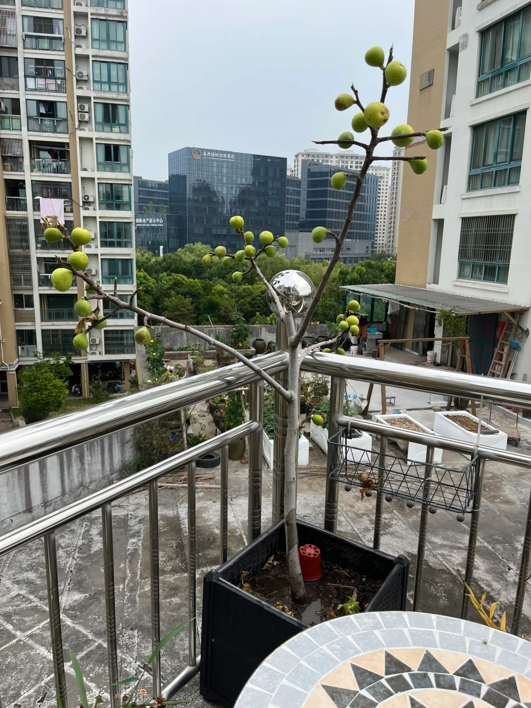 新城新房出租