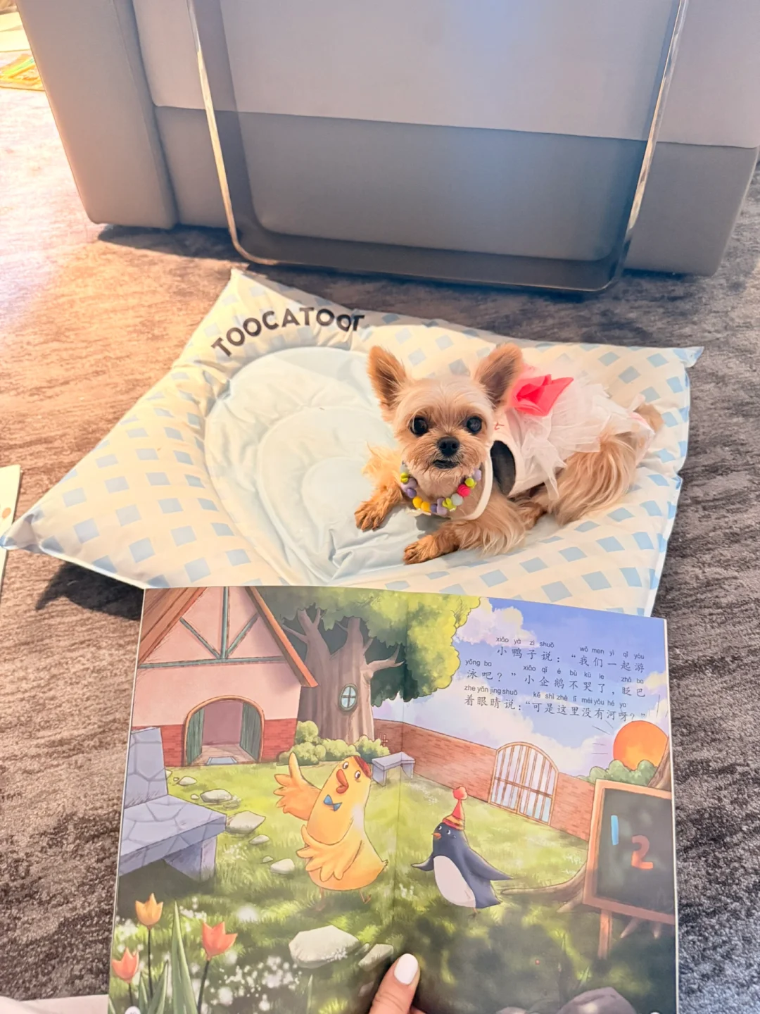 Baby我们的命运是住在豪宅里🏡