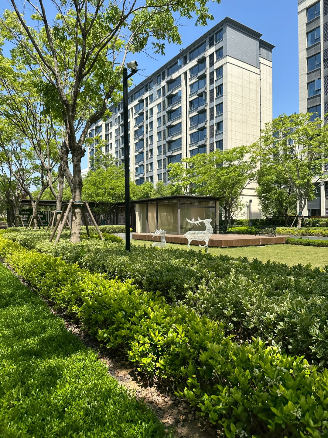 😭合肥包河次新11层洋房🏡无税148万