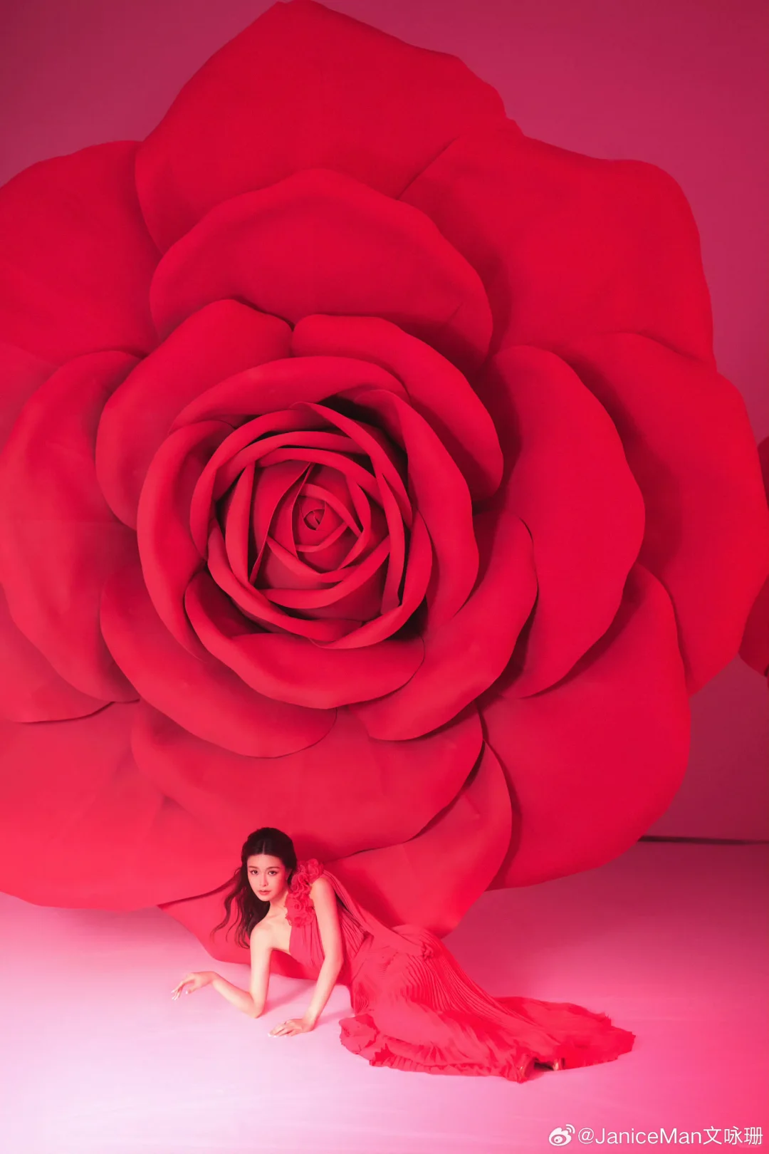 文咏珊，玫瑰花开，美到心坎里了🌹