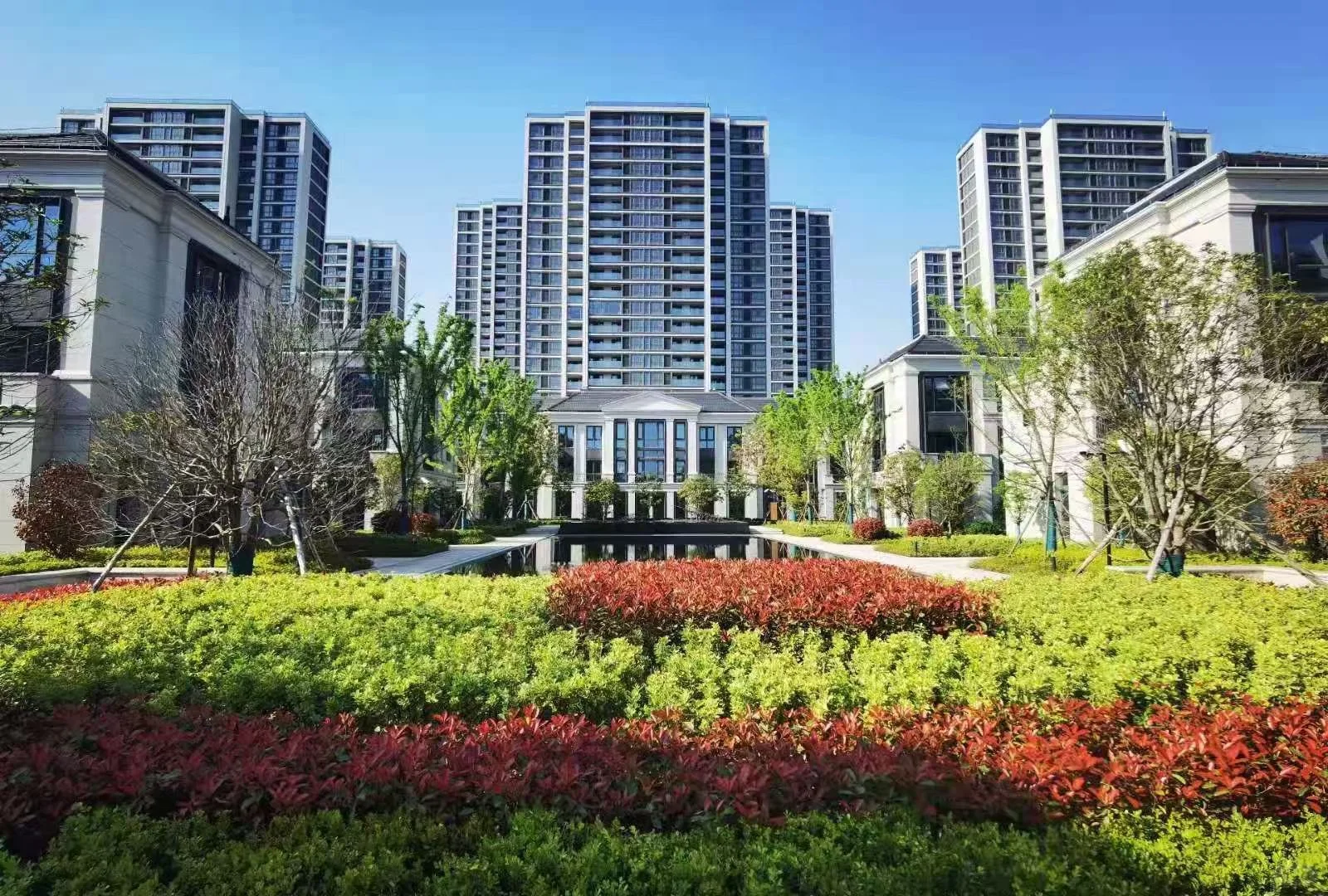 苏州主城区5折❗️出售的新房你见过吗❔