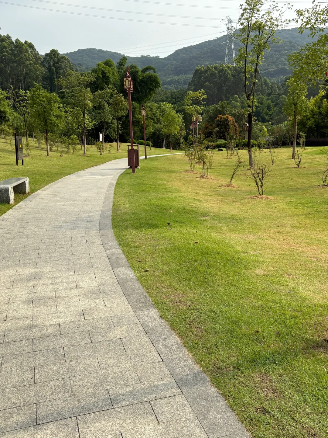 离公园几百米的家如此不值钱