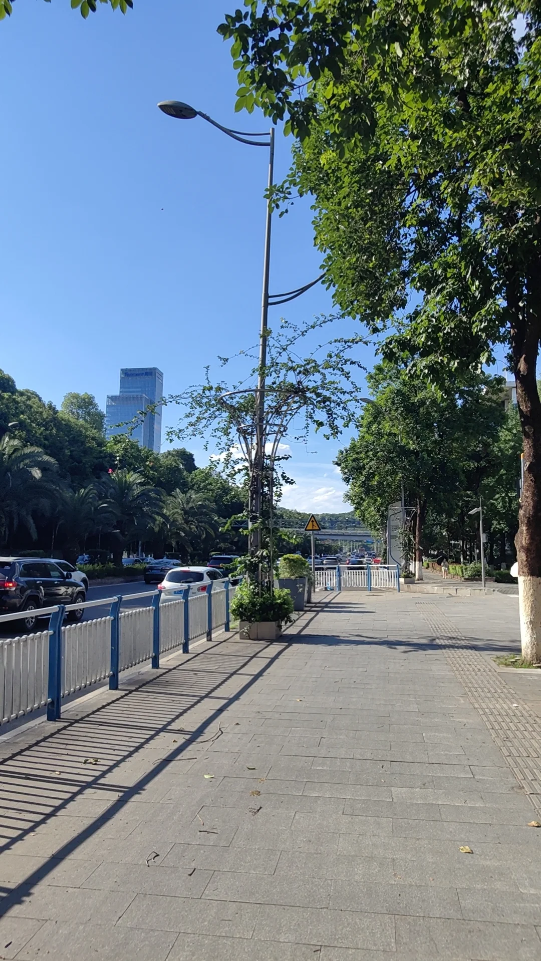 你们是什么关系？