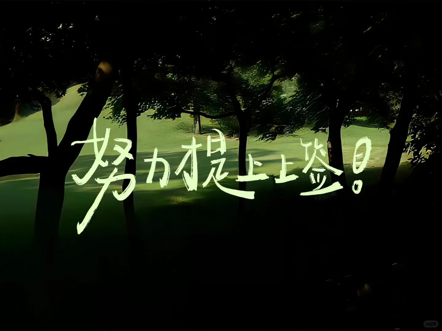 iPad壁纸横竖通用