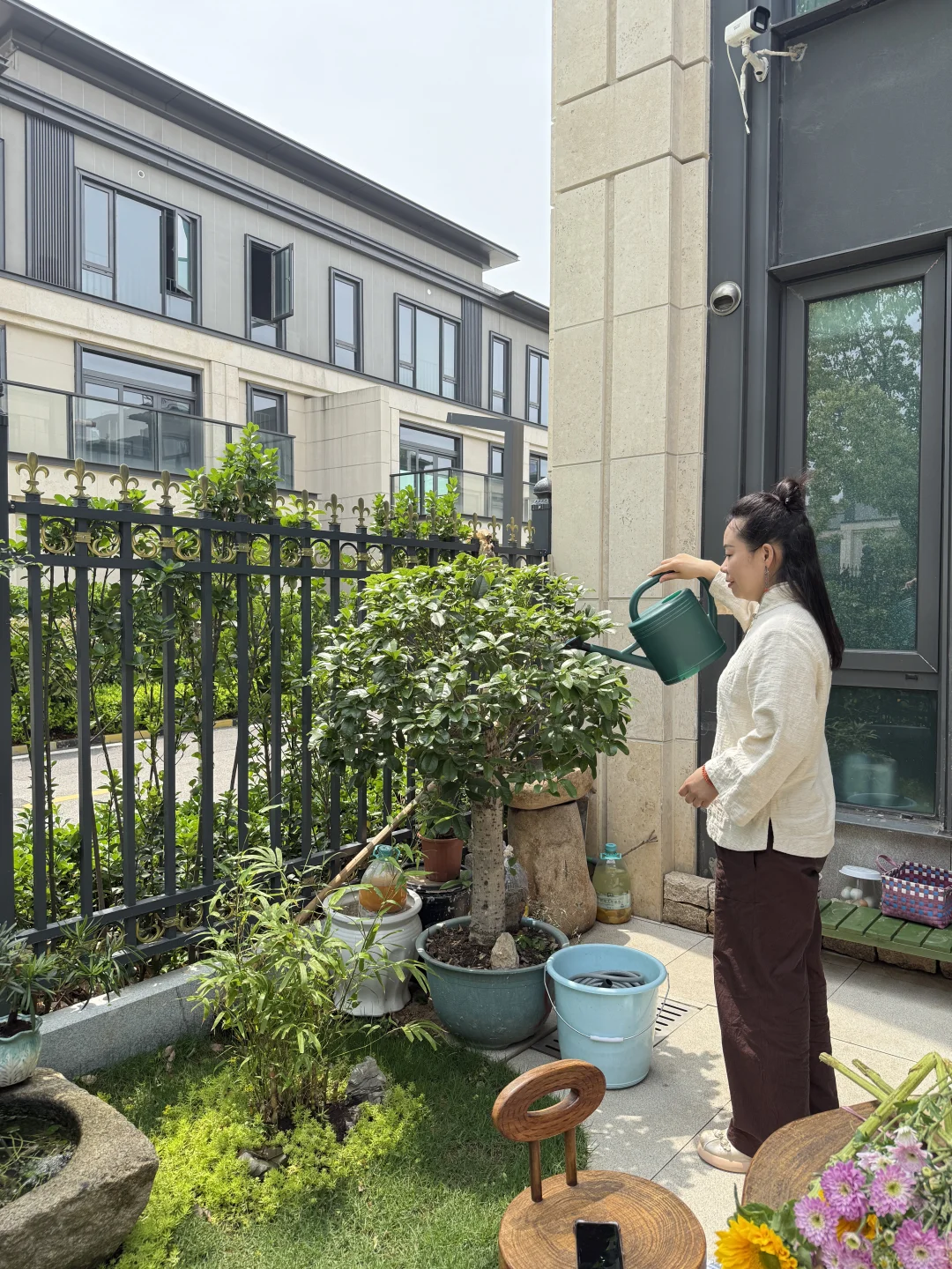 阳光正好，小院也温暖☀️
