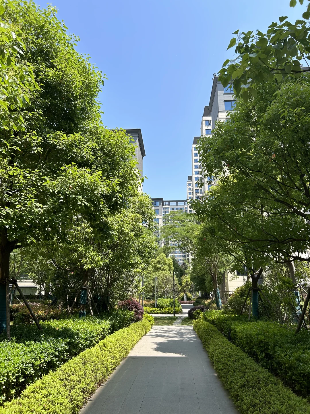 包河党狂喜😁次新洋房之前220现在150万带走