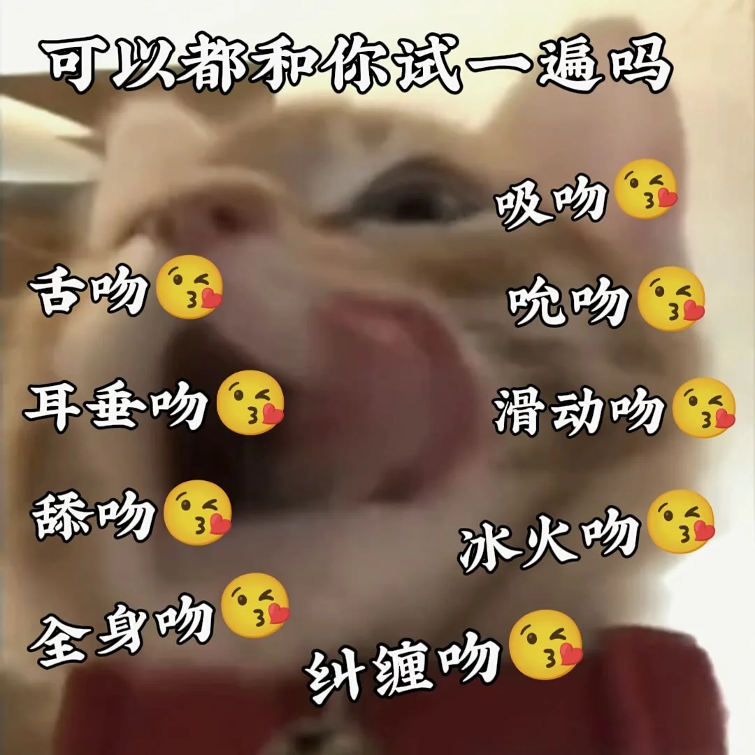 快拿去发给男朋友吧
