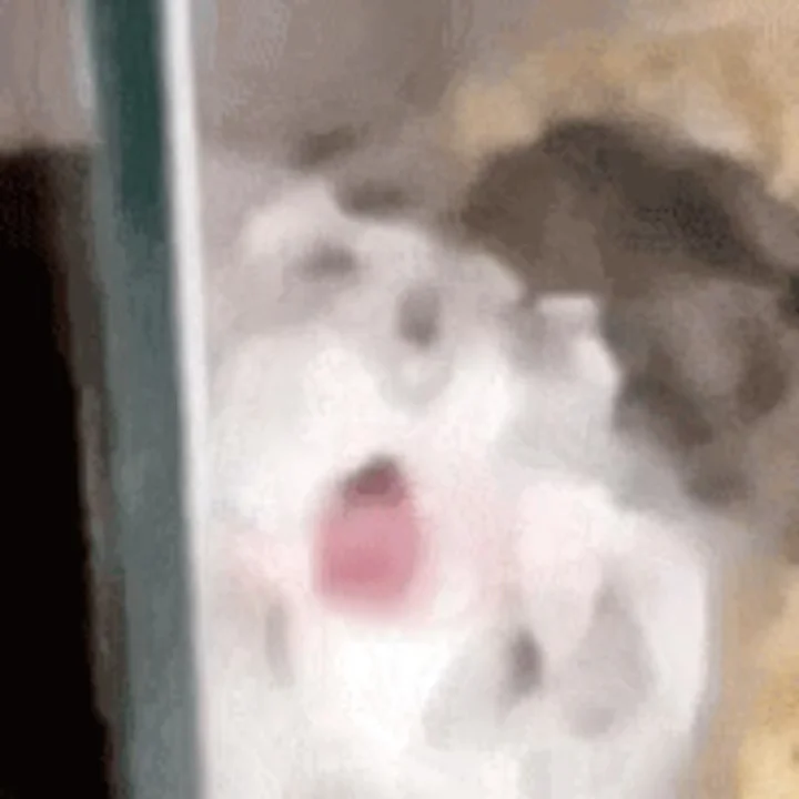 男友说太s了以后不许发啦