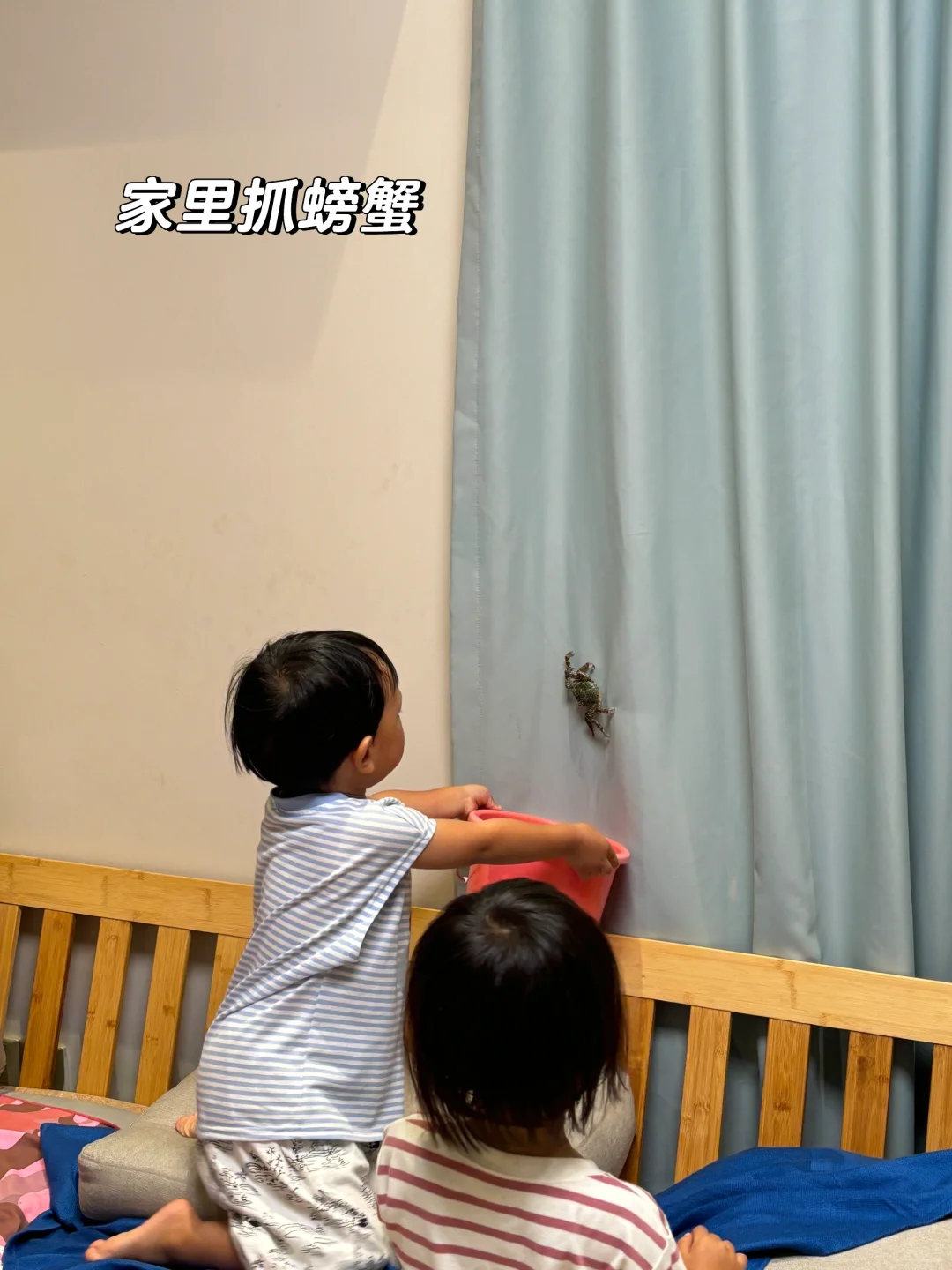 关于我在陵水1200💰租到绿城蓝湾小镇小洋房