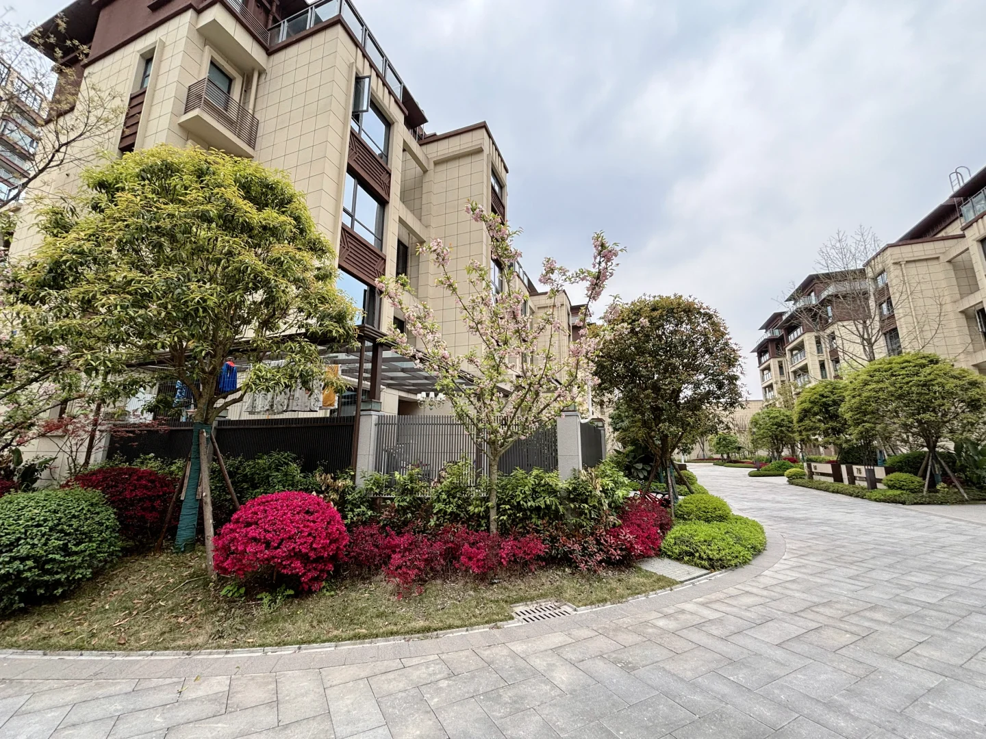 温江总高6层电梯洋房🎉一楼带160平大花园👍