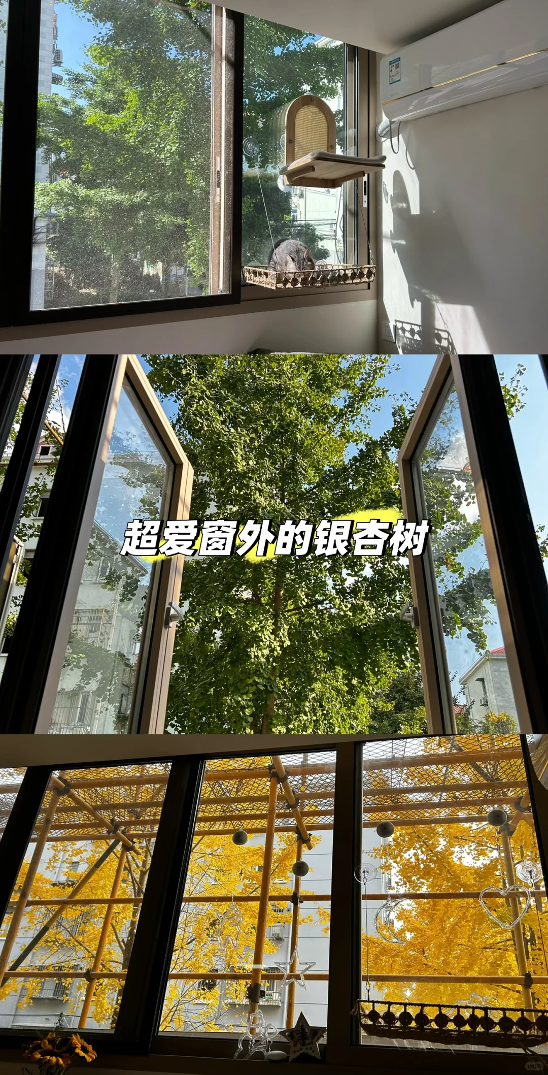 房东直租！上海世纪大道一室一厅