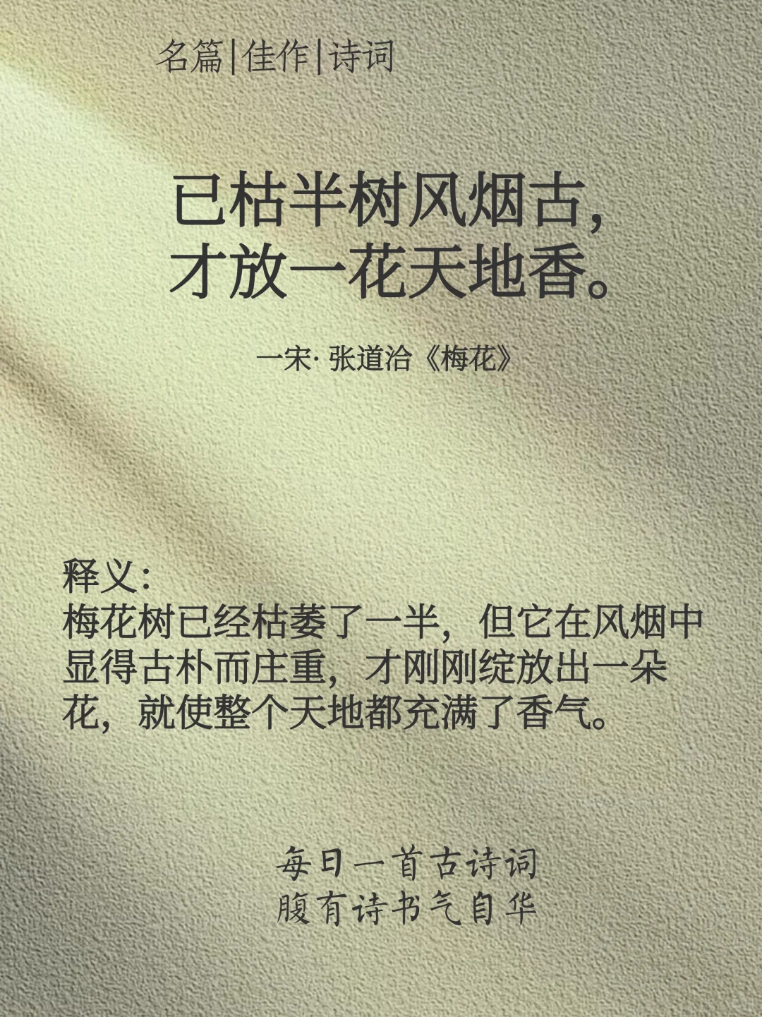 你读过心灵共振的一句诗是？