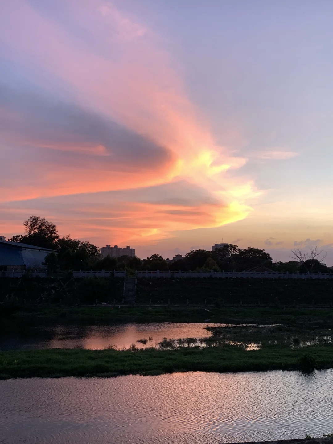 𝐡𝐞𝐥𝐥𝐨 𝐬𝐮𝐦𝐦𝐞𝐫🍃