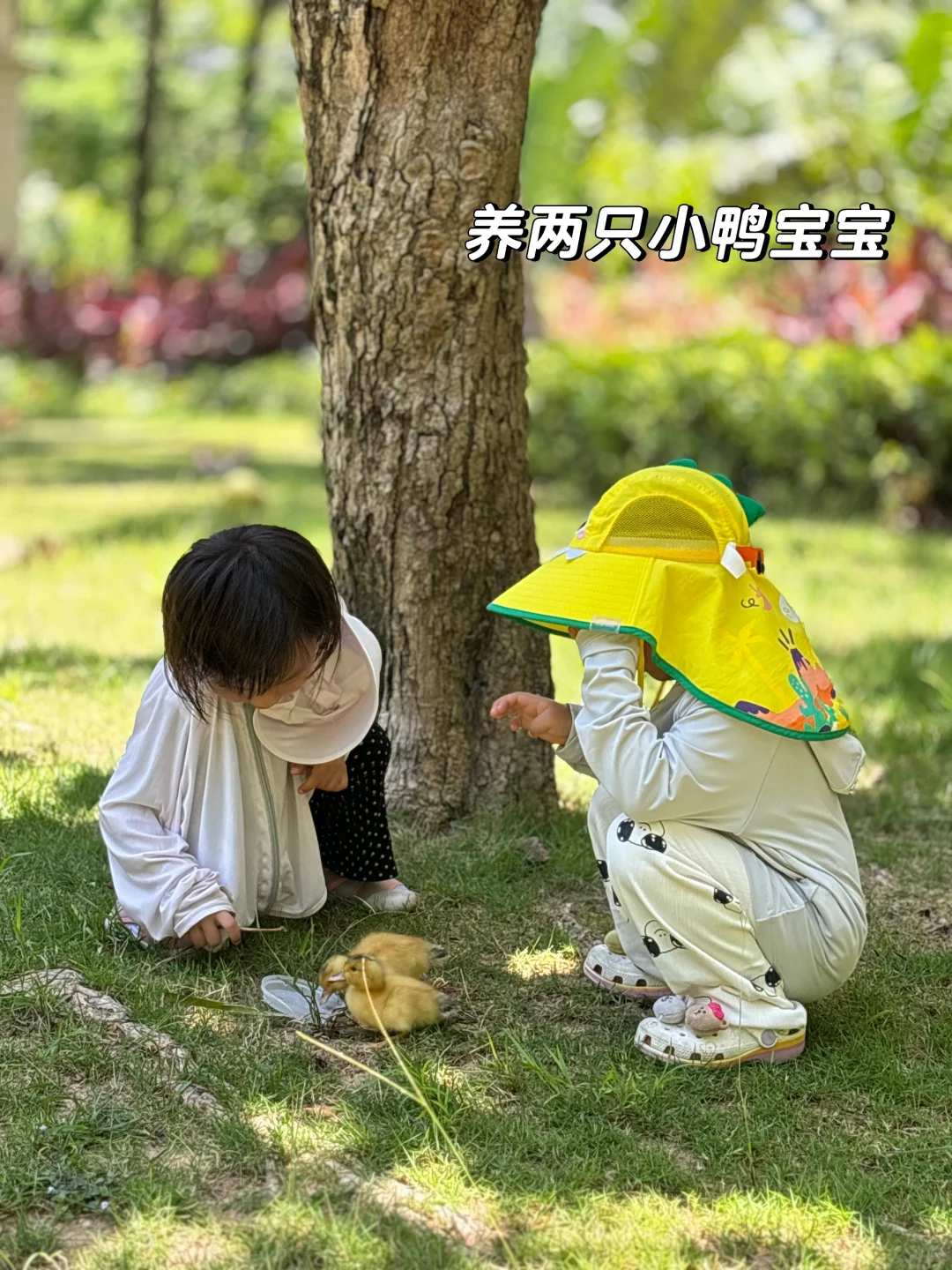 关于我在陵水1200💰租到绿城蓝湾小镇小洋房