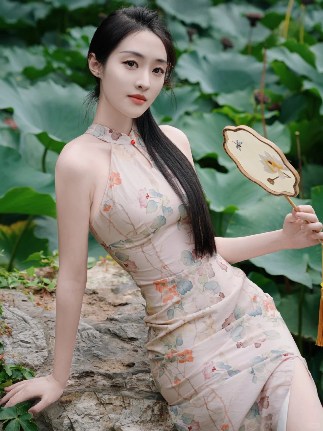 荷叶田田动清风