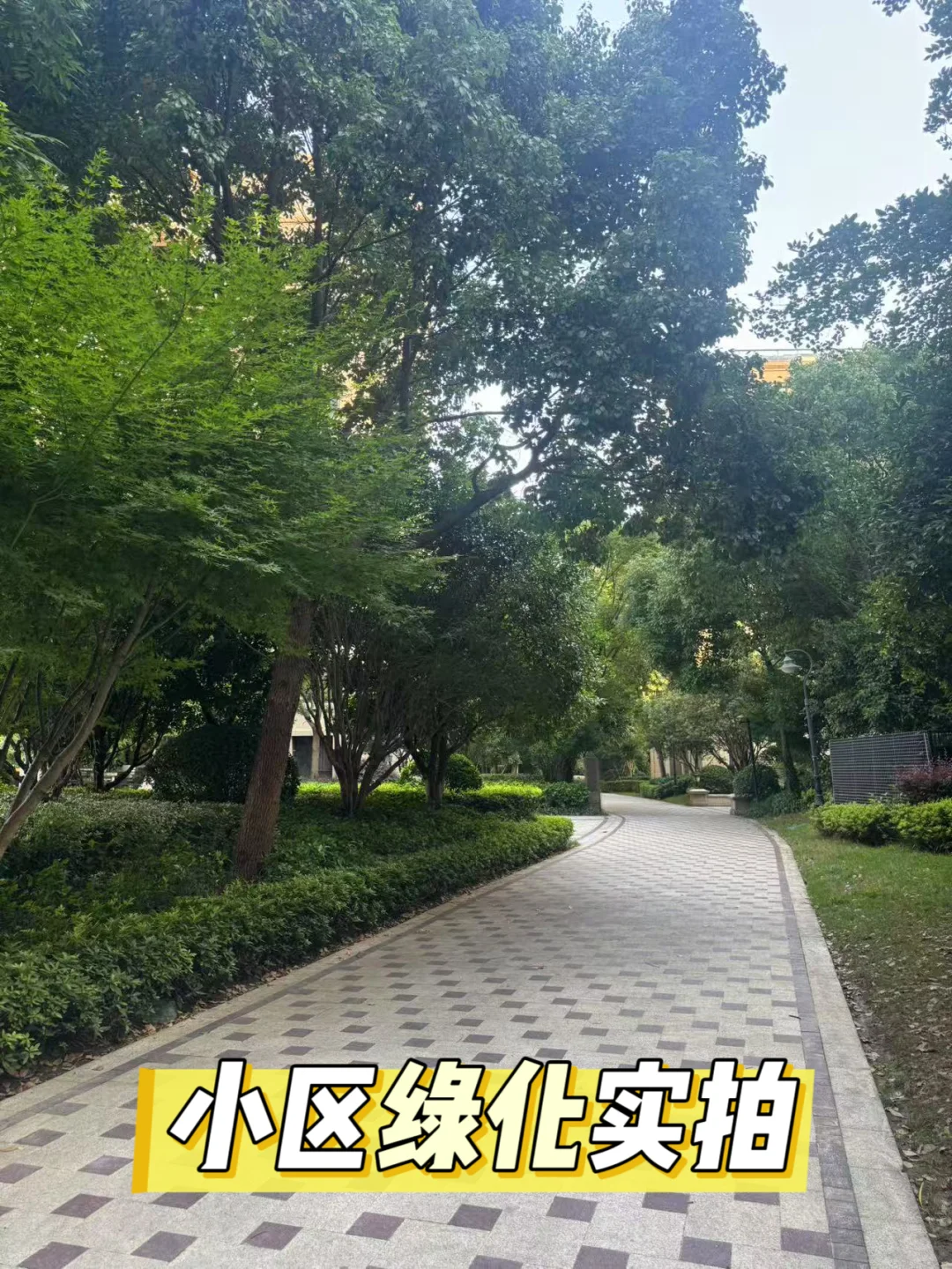 湖东第一豪宅唐宁府跌落神坛…..