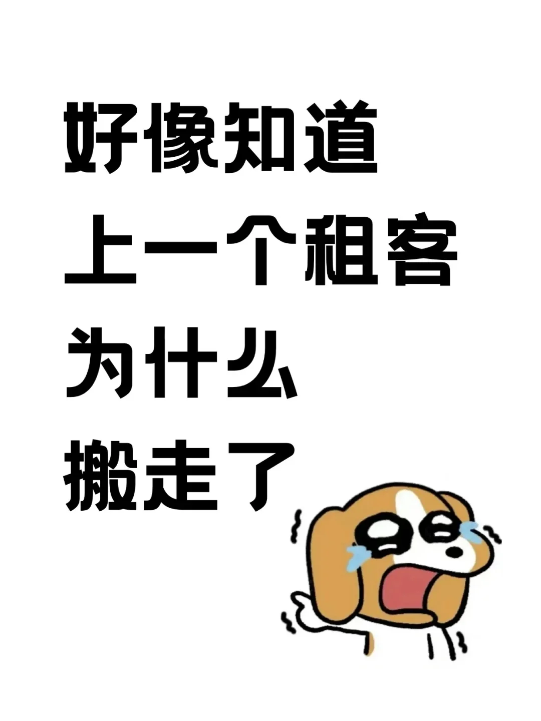 租房最该避雷的事:一个人去看房子