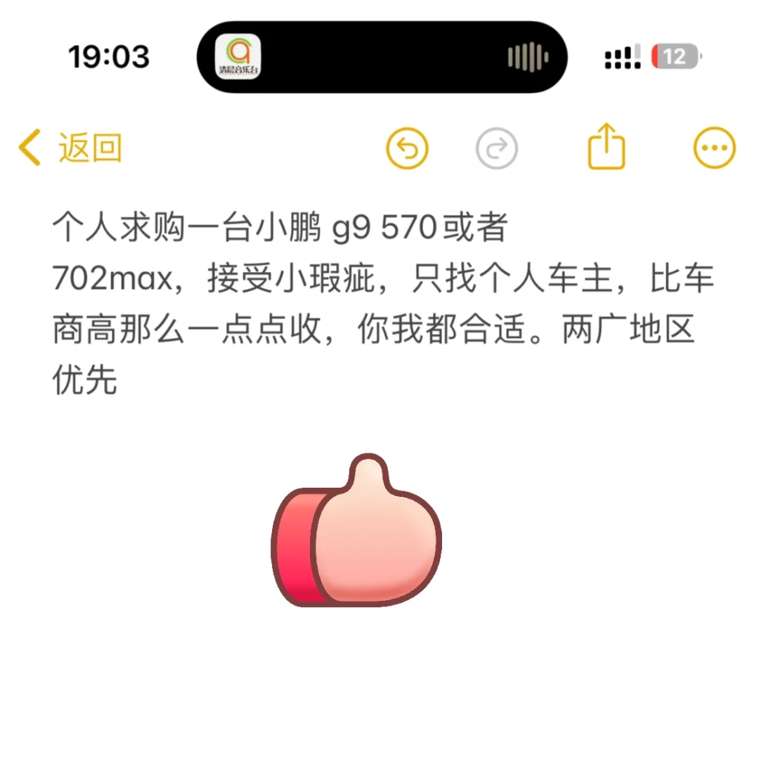 个人求购一台小鹏g9