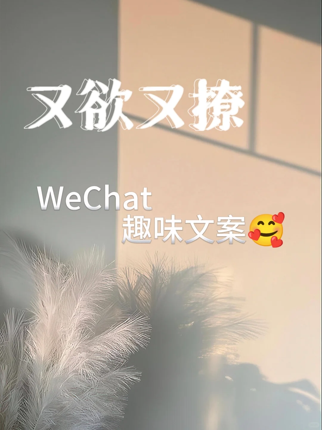 “该怎么得到你，麻袋还是甜言蜜语？”
