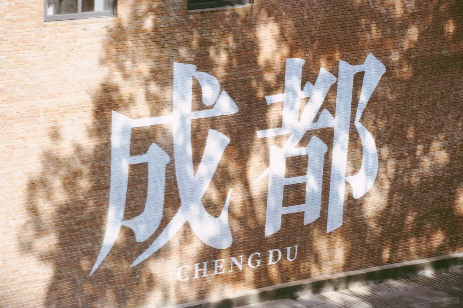 东郊记忆杉板桥❗️实地拍摄📷夏日感办公室☀️