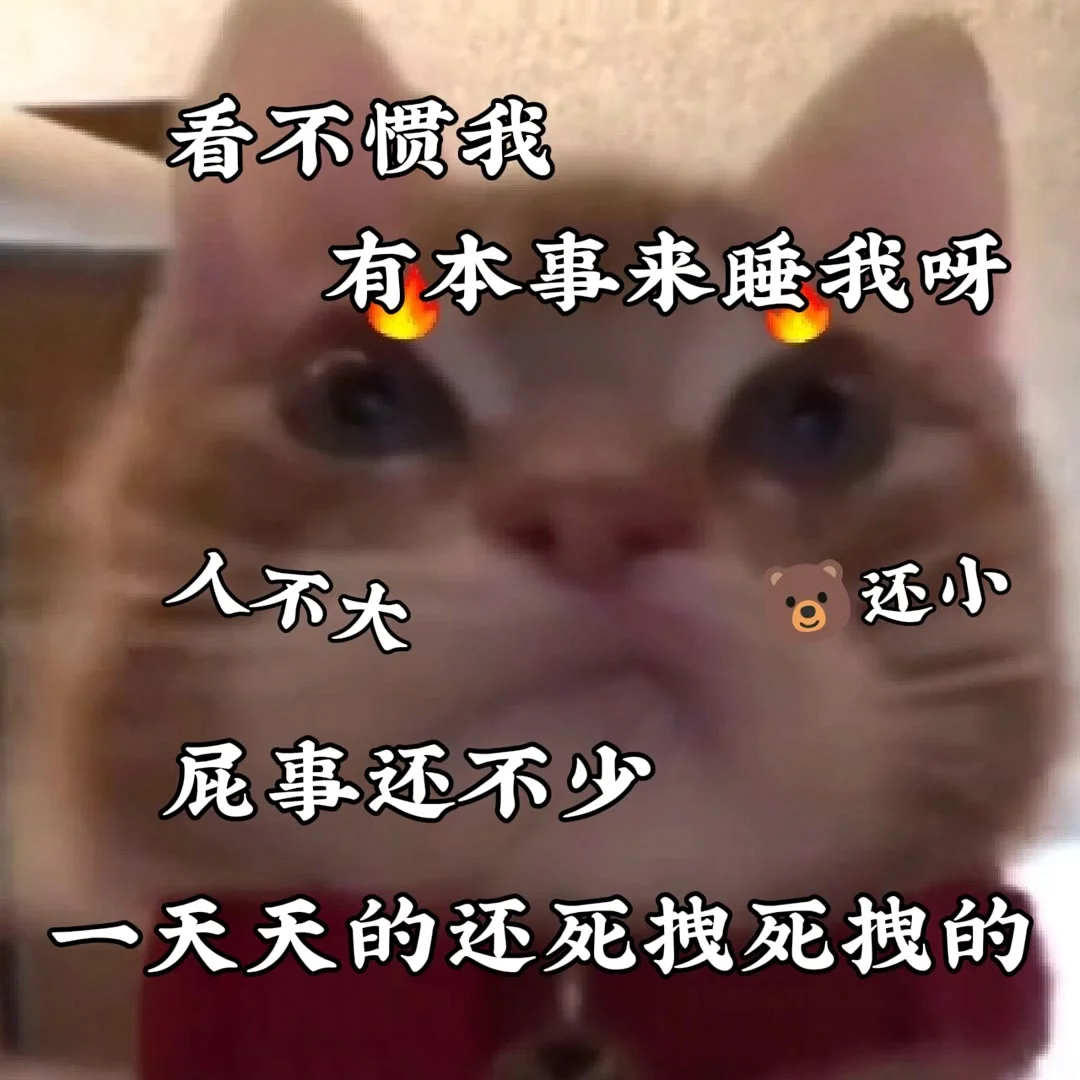 快拿去发给男朋友吧